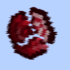 Fragment